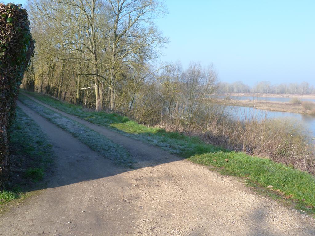 Les Gites De Colliers Muides-sur-Loire الغرفة الصورة