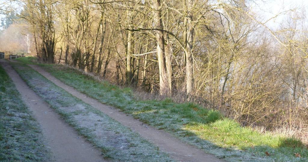 Les Gites De Colliers Muides-sur-Loire الغرفة الصورة