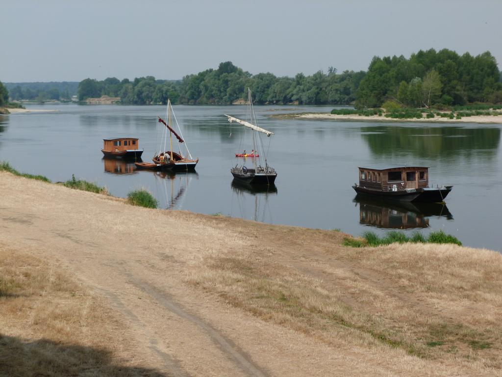 Les Gites De Colliers Muides-sur-Loire المظهر الخارجي الصورة